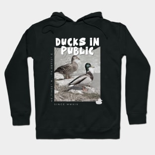 Ducks In Public. Hoodie